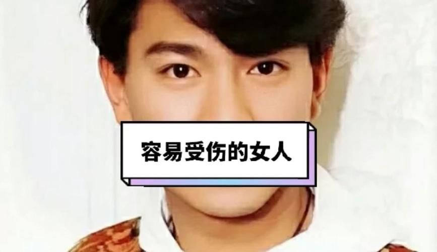 刘德华演唱容易受伤的女人时的情感表达技巧