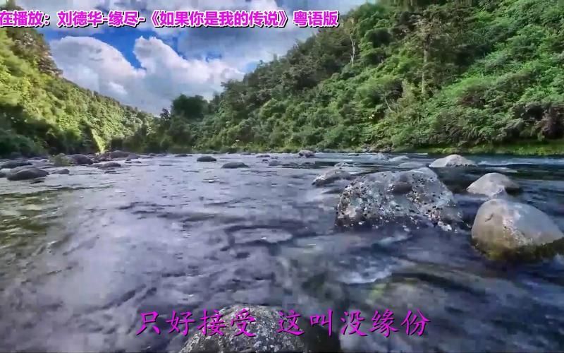 刘德华演唱的缘尽：爱情的无奈与释怀