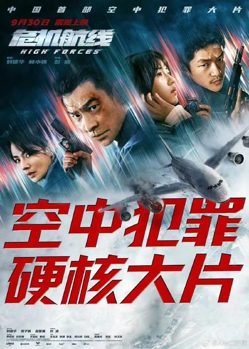 刘德华演飞行员的电影剧情介绍