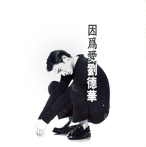 刘德华爱无知歌词含义深度解读：爱与无知的挣扎