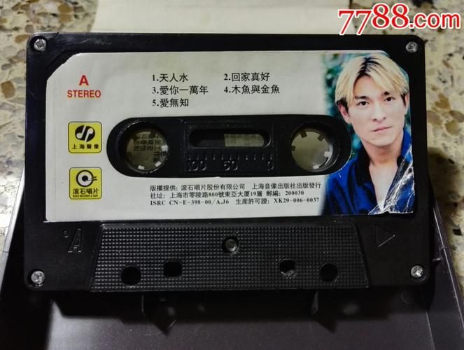 刘德华爱无知歌词含义深度解读：爱与无知的挣扎