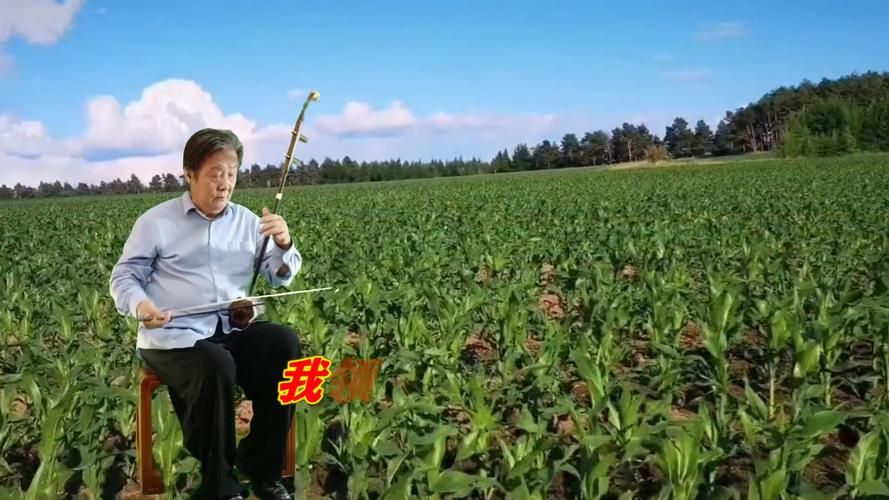 刘德华版我的老家就在这个屯原唱视频完整版
