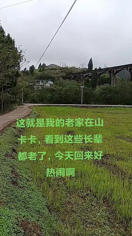 刘德华版我的老家就在这个屯原唱视频完整版