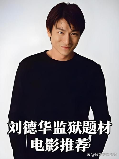 刘德华版监狱风云与其他版本对比哪个更好看