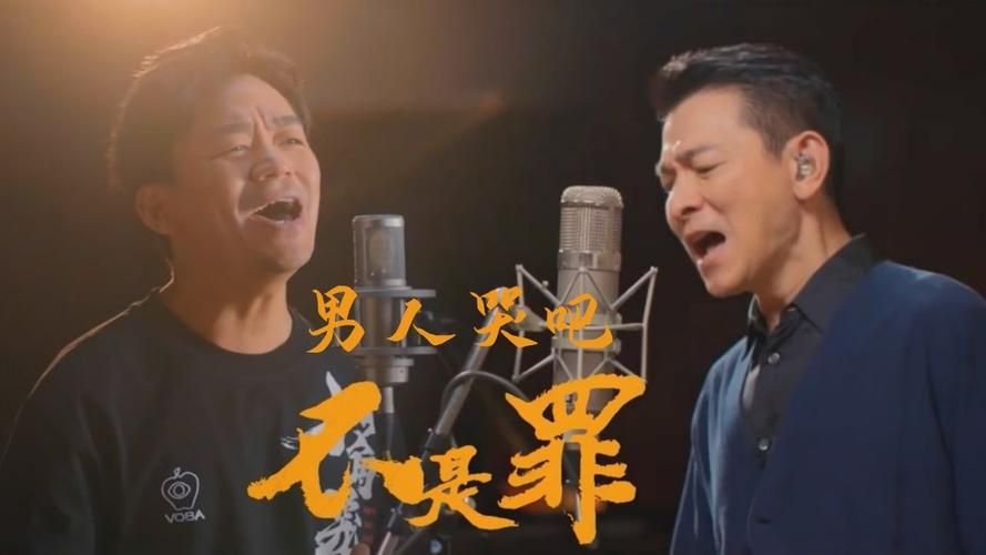 刘德华王宝强电影全集推荐这几部你一定看过