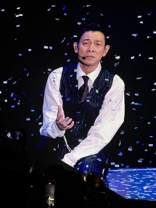 刘德华现场演唱会视频全集免费下载