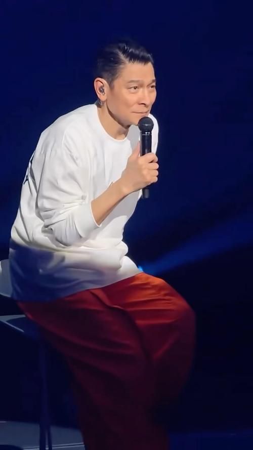 刘德华现场演唱会视频全集免费下载