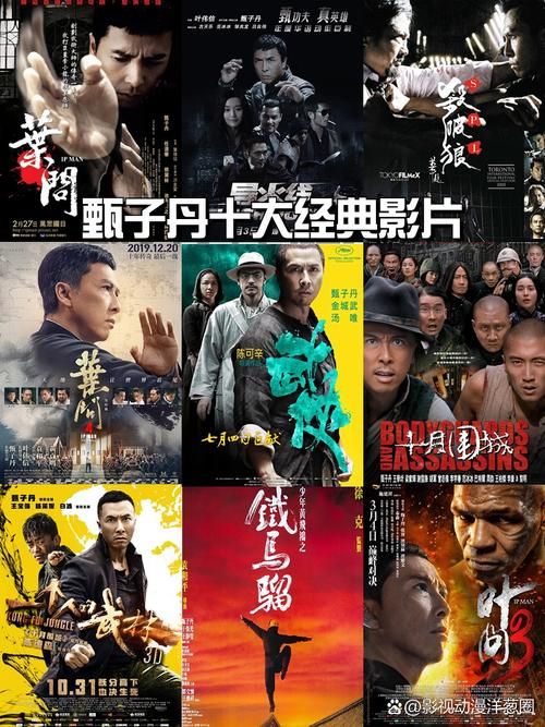 刘德华甄子丹合作电影推荐，感受影帝级演员的魅力