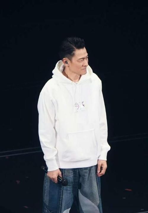 刘德华甄子丹合作电影推荐，感受影帝级演员的魅力