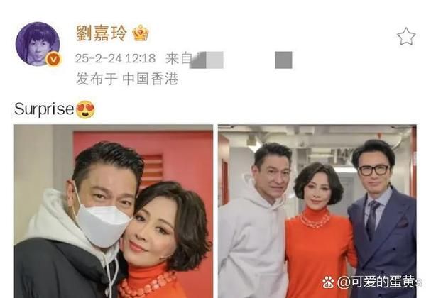 刘德华生儿子引发热议粉丝激动不已
