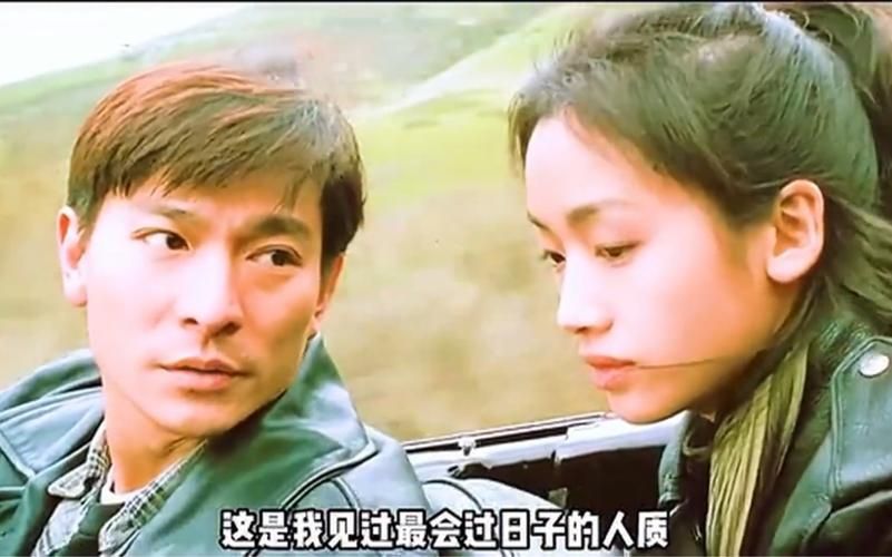刘德华电影大冒险家剧情解析经典动作场面回顾