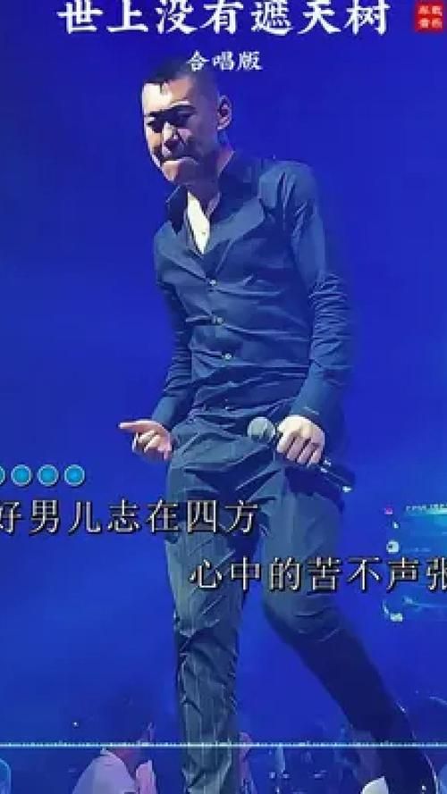 刘德华男儿志：歌曲创作及演唱技巧分析