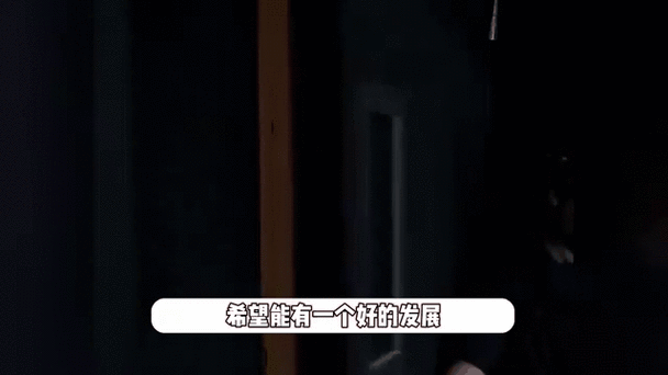 刘德华疯狂粉丝杨丽娟事件背后的家庭教育问题
