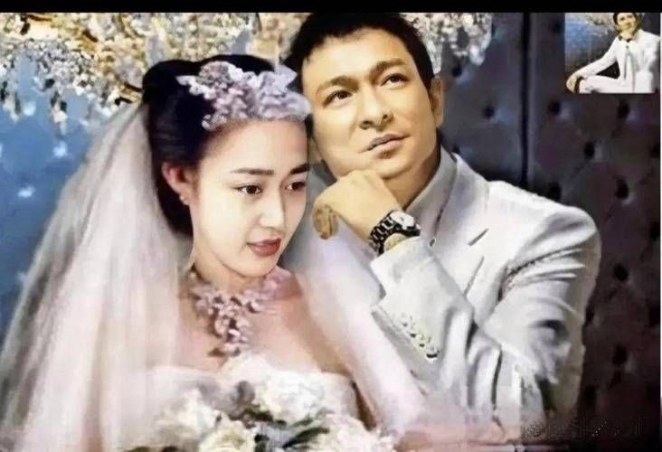 刘德华的前妻是谁她与天王的婚姻内幕曝光
