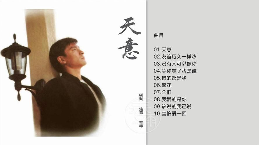 刘德华的天意这首歌有什么特别之处