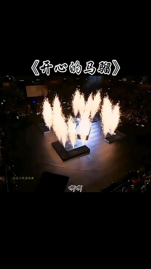 刘德华的开心马骝演唱会现场版 震撼视听体验