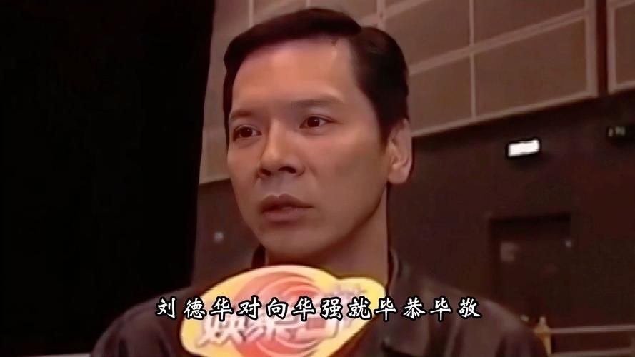 刘德华的成功之道：与向华强的深厚合作与坚持
