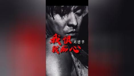 刘德华的我恨我痴心为什么能火这么多年原因在这