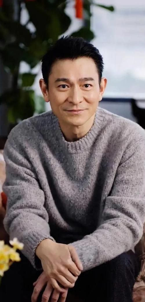 刘德华的气质养成：努力与外貌的完美结合