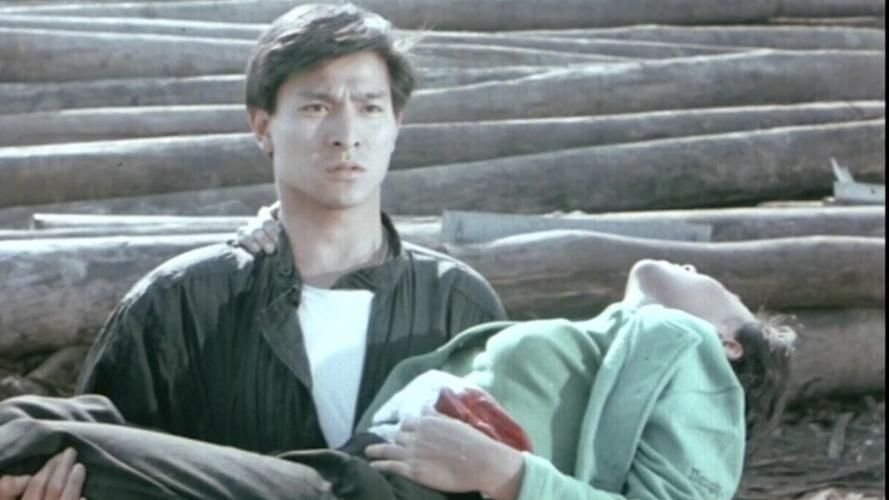 刘德华省港旗兵剧情介绍 带你重温热血江湖岁月