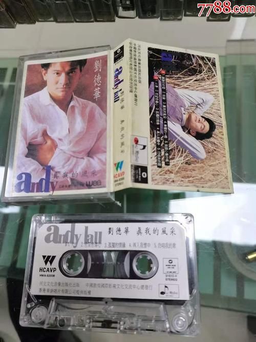 刘德华真我的风采：一首歌曲一个时代的回忆