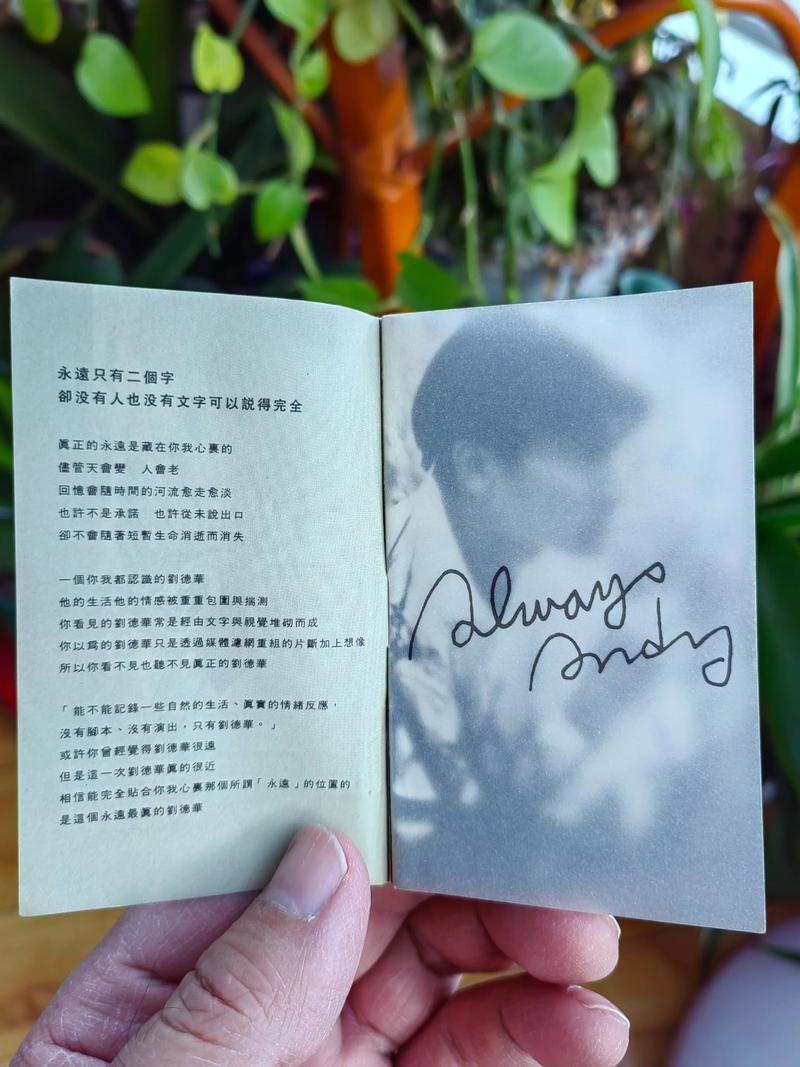 刘德华真永远歌词含义 为何这首歌能打动人心