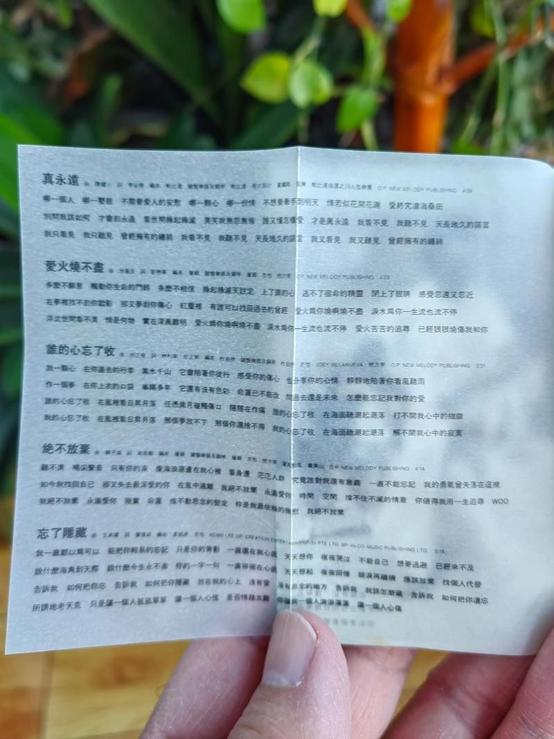 刘德华真永远歌词含义 为何这首歌能打动人心