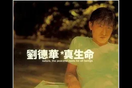 刘德华真生命专辑全解析 经典歌曲背后的故事