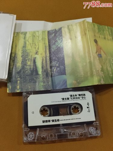 刘德华真生命专辑全解析 经典歌曲背后的故事