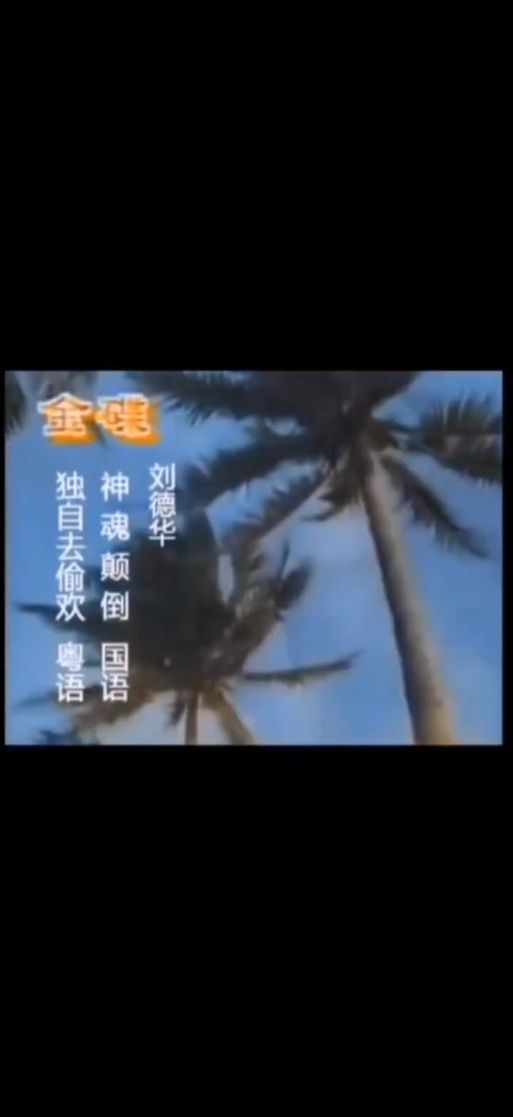 刘德华神魂颠倒歌词赏析 感受天王的音乐魅力