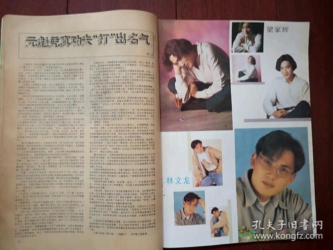 刘德华秋风落叶歌词解析 感受天王经典之作的深情