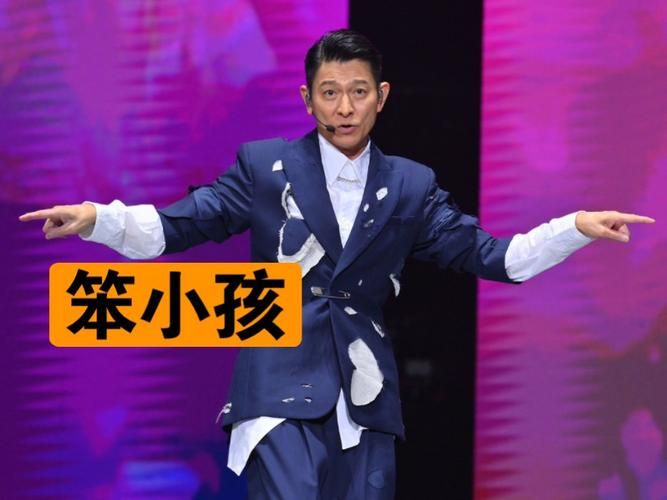 刘德华笨小孩演唱会视频：重温经典歌曲的感动