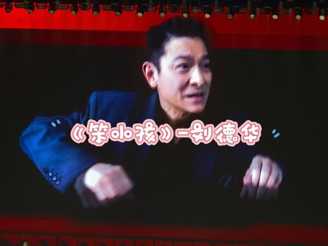 刘德华笨小孩演唱会视频：重温经典歌曲的感动