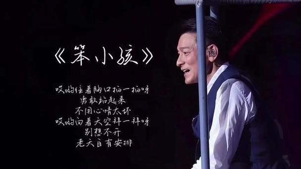刘德华笨小孩演唱会视频：重温经典歌曲的感动