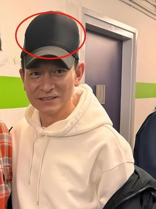 刘德华粉丝必备！超值刘德华公仔选购攻略
