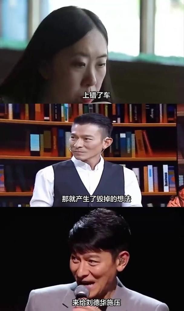 刘德华粉丝的两种人生：杨丽娟的警示与反思