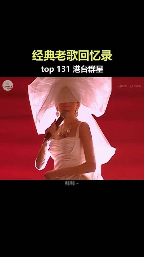 刘德华纪念梅艳芳的歌演唱会现场版视频回顾