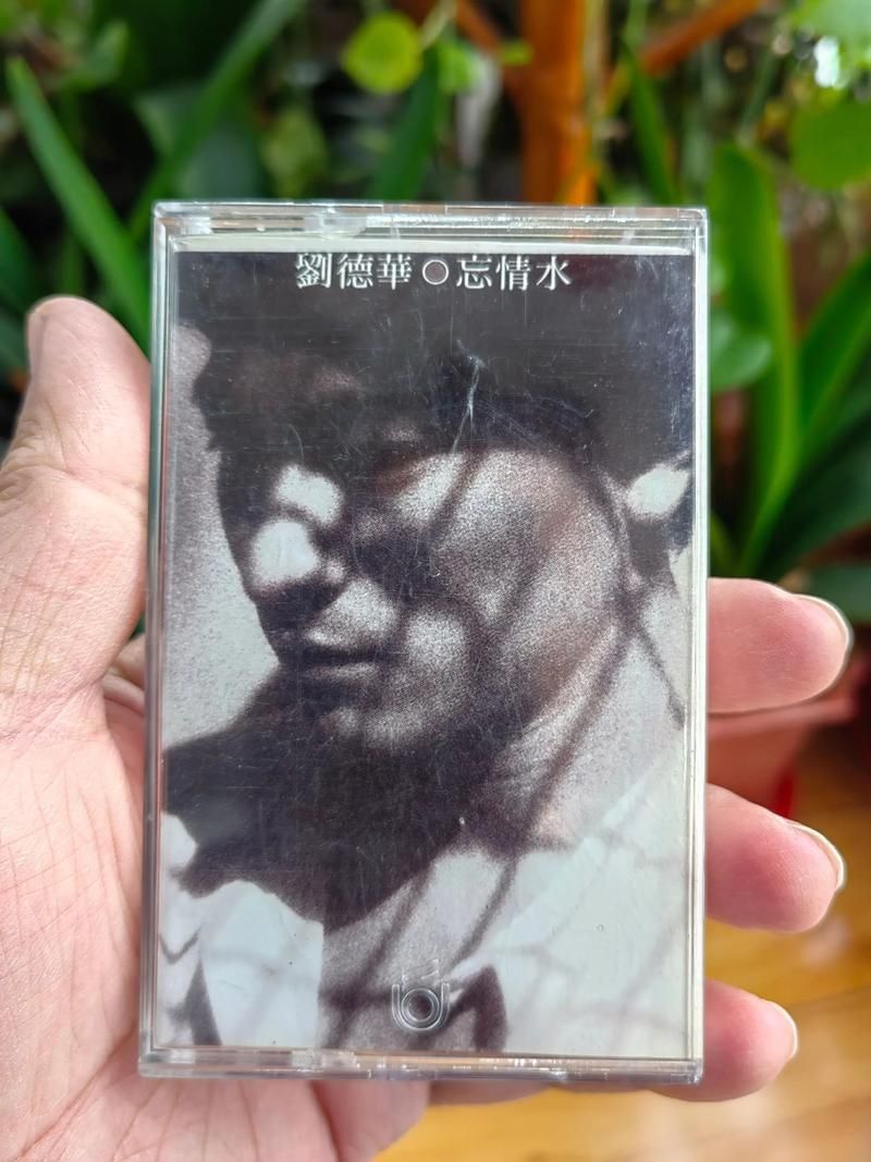 刘德华经典忘情水歌词解析 背后的故事揭秘