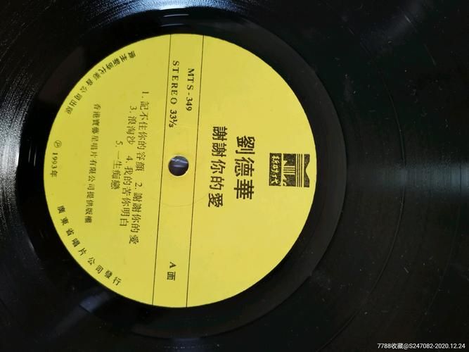 刘德华经典歌曲浪淘沙：歌词赏析及歌曲解读