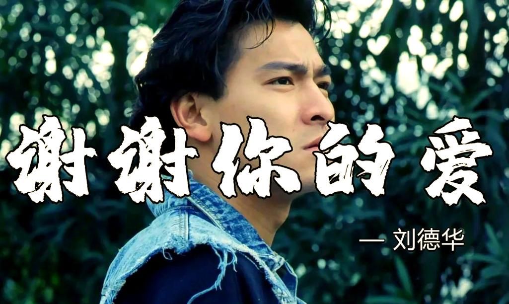 刘德华经典歌曲谢谢你的爱背后的故事