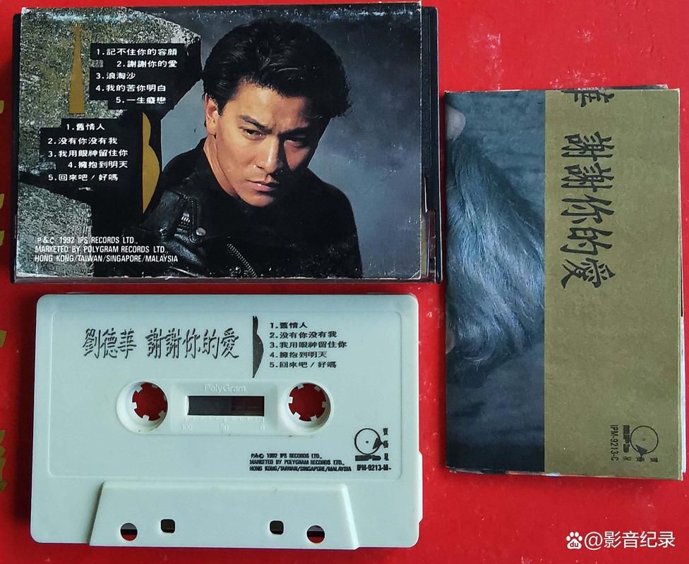 刘德华经典歌词没有你的城市完整版在线听