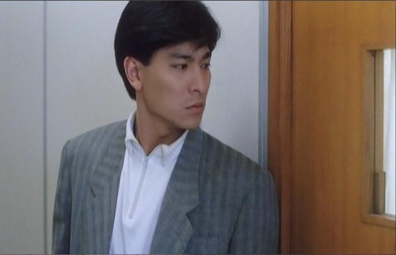 刘德华经典电视剧猎鹰：剧情介绍及演员阵容