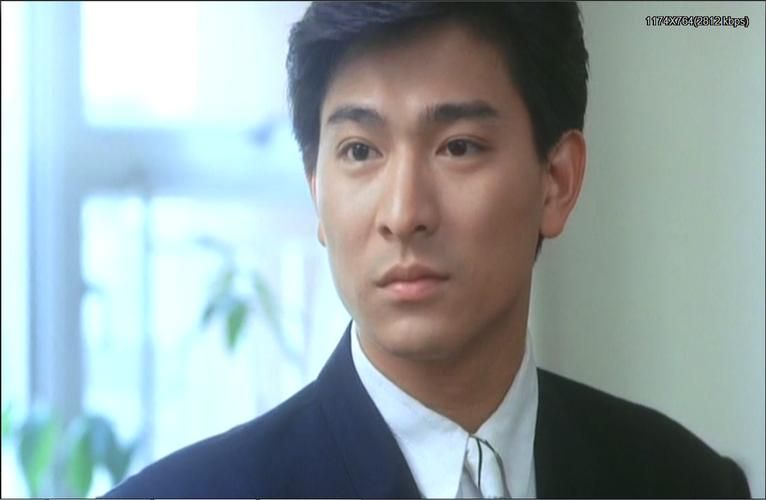 刘德华经典电视剧猎鹰：剧情介绍及演员阵容