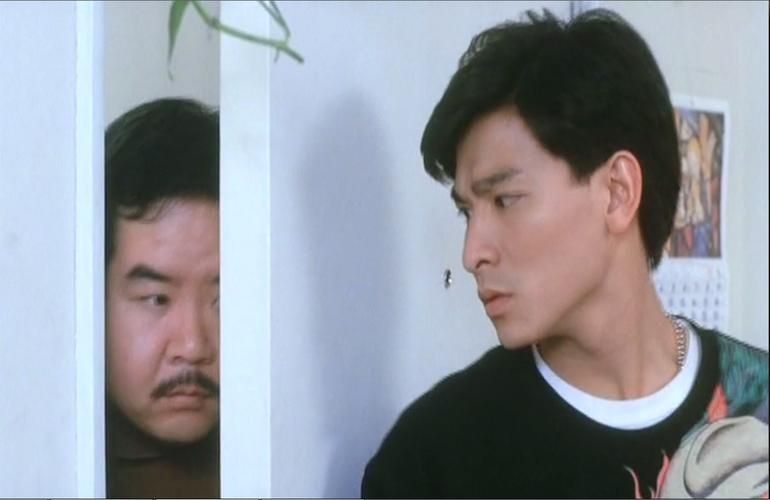 刘德华经典电视剧猎鹰：剧情介绍及演员阵容