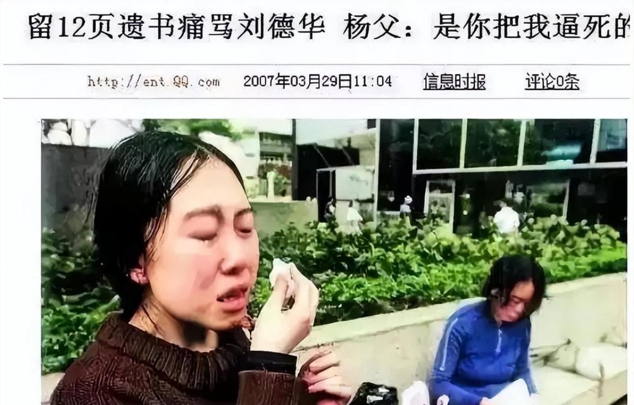 刘德华给杨丽娟钱了吗事件始末回顾