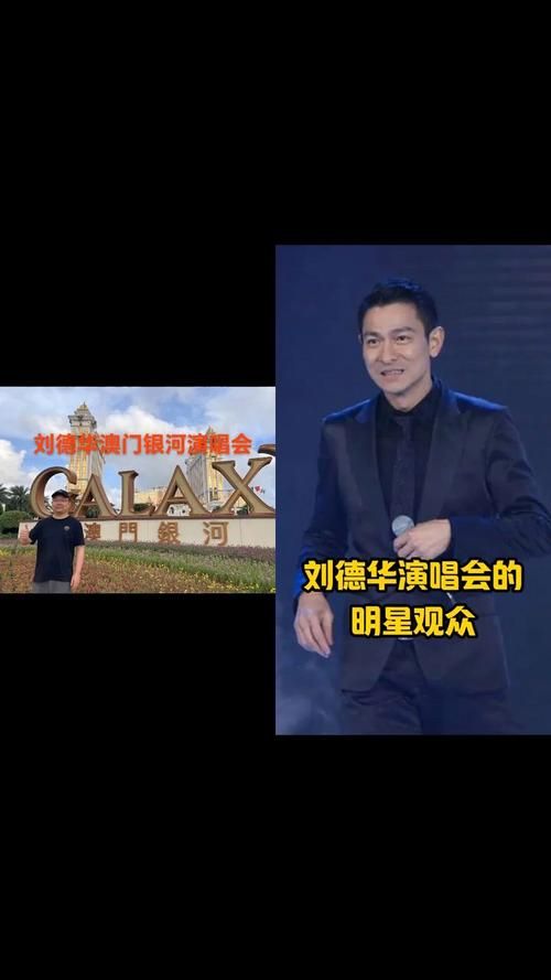 刘德华综艺节目合集：天王巨星的荧屏瞬间