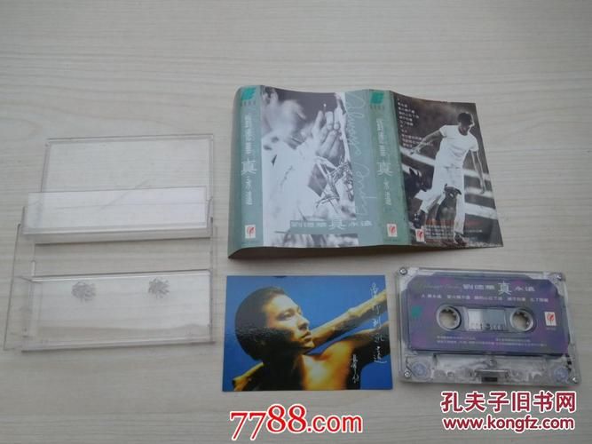 刘德华美丽的一天专辑所有歌曲歌词解析