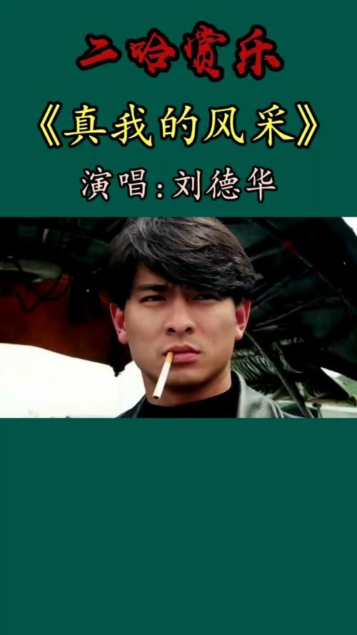 刘德华翻唱歌曲合集：经典老歌全新演绎