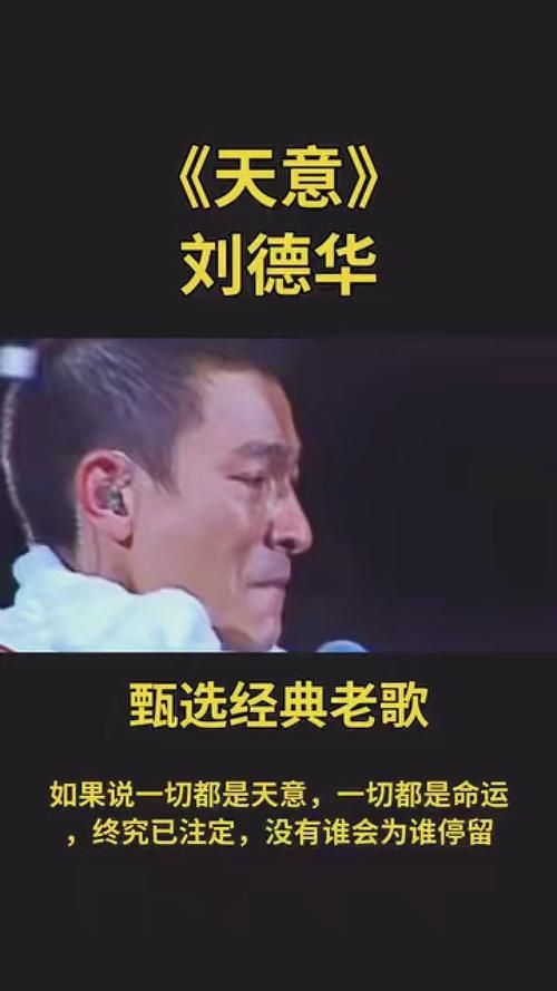 刘德华翻唱歌曲合集：经典老歌全新演绎