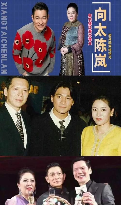 刘德华老婆个人资料详细版她的故事你知道吗
